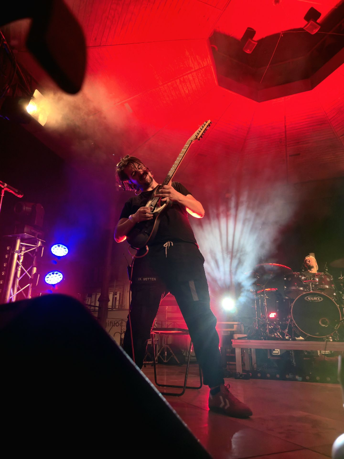 Guitariste de Helm
